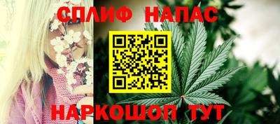 прущие крисы Моздок