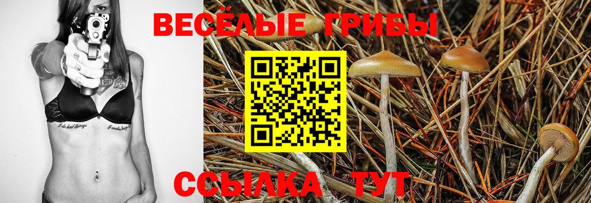 Галлюциногенные грибы прущие грибы Добрянка